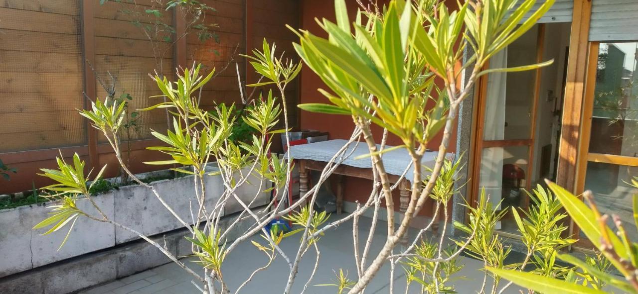Meraviglioso Super Attico Con Terrazza Apartamento
